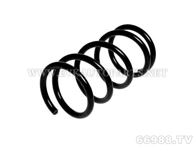 伊偉科EVK圈狀彈簧 Coil Spring